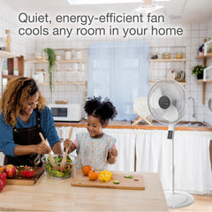 Pedestal Fan with Remote Oscillation and Thermostat