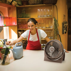 Lasko 505 10" Portable 2-Speed Breeze Machine Table Fan: bronze